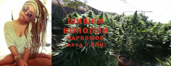 эйфоретик Краснослободск