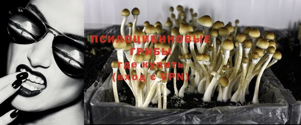 эйфоретик Кулебаки
